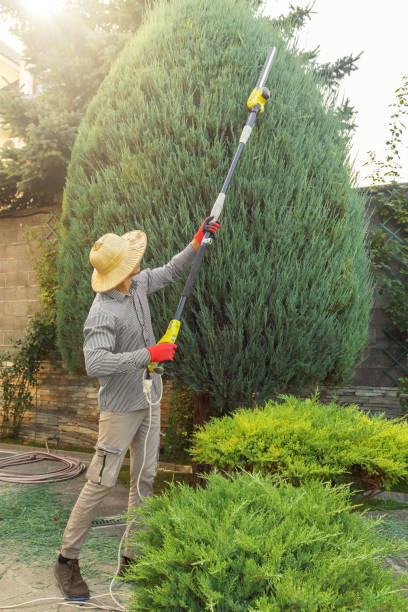 Lawn Pest Prevention in Trooper, PA